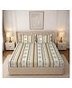 Morado Premium Glace Cotton Elastic Fitted Double Bedsheet with 2 Pillow Covers (72 x 78 x 8 Inches) MariGold - Cream