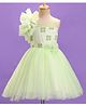 Enfance Net Woven Sleeveless  Flare Party Dress With Floral Applique - Light Green