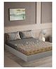 D Decor Maxima Collection 100% Cotton Ethnic 144TC Super King Flat Bedsheet with 2 Pillow Covers - Light Grey
