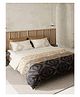 DDecor Zeta Collection 100% Cotton Abstract 135TC Super King Flat Bedsheet with 2 Pillow Covers - Brown