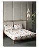 D'Decor 100% Pure Cotton Geometric 145TC King Flat Bedsheet with 2 Pillow Covers - Brown