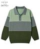 Arias by Lara Dutta Knit Full Sleeves Wooly Sweater With Collar - Green