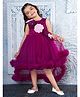 Ministitch Net Woven Sleeveless Floral Applique Detailed High Low Dress - Wine