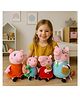 BESTIES 30 cm Pig Family Soft Toys Combo Of 4 - Multicolor