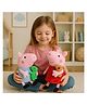 BESTIES 22 cm Brother Pig and Sister Pig Soft Toys Combo - Multi Color