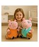BESTIES 30 cm Mummy Brother Pig and Daddy Pig Soft Toys Combo Blue Pink