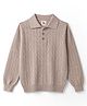 Yellow Apple Knit Full Sleeves Solid Colour Polo Winter T-Shirt with Drop Needle Design - Tan