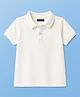 Pine Kids Cotton Knit Half Sleeves Solid Colour Polo T-Shirt - White