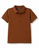 Pine Kids Cotton Knit Half Sleeves Solid Polo T-Shirt - Brown