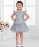 SNAZZY Girl Cotton Woven Frill Sleeves Floral Embroidered Dress - Light Blue