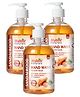 Multani Natural Sandalwood Hand Wash | With Natural Ingredients | 99.9% Germ Protection Hand Wash for Kids & Adults | Pack of 3 - 500 ml Each
