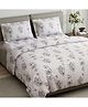 Haus & Kinder 100% Cotton King Flat 144 TC Bedsheet, 2 Pillow Covers, Pastel Paisley Blugrn