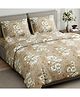 Haus & Kinder 100% Cotton King Flat 144 TC Bedsheet, 2 Pillow Covers, Royal Mocha Botanica
