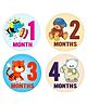 Fusion Graphix First Year Baby Milestone Stickers - Multicolor