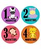 Fusion Graphix First Year Baby Milestone Stickers - Multicolor