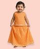 Mama & Peaches Cotton Woven Sleeveless Hearts Printed Coordinating Lehenga Choli Set - Orange