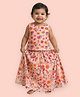 Mama & Peaches Cotton Woven Sleeveless Cross Checked & Fruits Printed Coordinating Lehenga Choli Set - Pink