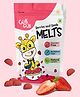 GubGub Berries and Seeds Melts Freeze Dried Natural Fruit Snacks For Toddler & Kids 15g - Pack of 1