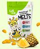GubGub Berries and Seeds Melts Freeze Dried Natural Fruit Snacks For Toddler & Kids, 15g Pack of 1