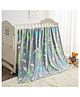 Reexplore Dino Glow in the Dark Blanket for Kids and Adults - Grey