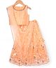 Babyhug Net Woven Sleeveless Chanderi Lehenga Choli and Dupatta Set With  Floral Embroidery & Sequin Detailing - Peach
