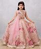 PinkCow Organza Woven Sleeveless Floral Printed Ghagra Choli - Golden & Pink