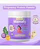 BetterHerbs Mamafy Powder(Vanilla Elaichi)- Pack of 1 - 325g