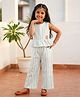 The Magic Wand Woven Sleeveless Stripes Ruffle Top & Pant Co-ords - Mint Green