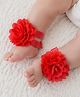 Akinos Kids Floral Applique Detailed Barefoot Sandals - Red