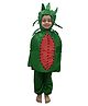 BookMyCostume Woven Full Sleeves Watermelon Costume - Green & Red
