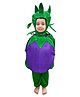 BookMyCostume Woven Full Sleeves Eggplant Costume - Purple & Green