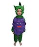 BookMyCostume Woven Full Sleeves Grapes Costume - Green & Purple