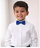 BOOP Solid Bow Tie - Royal Blue