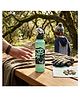 Disney By Gluman Unica Stainless Steel Spout Bottle Disney Grogu Green - 792 ml