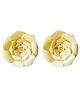 Party Propz DIY Flower Rose Pack of 2  - Cream