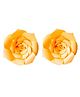 Party Propz DIY Flower Rose Pack of 2  - Golden Yellow