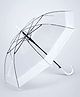 Little Surprise Box Border Detailed Transparent Umbrella - White