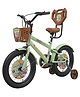 Stryder Whizzy 16T Kids Cycle with Side Wheels Back Rest Basket Water Bottle Mudguards Chain Cover A - Pastel Green