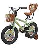 Stryder Whizzy 14T Kids Cycle with Side Wheels Back Rest Basket Water Bottle Mudguards Chain Cover- Pastel Green