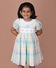 Soleilclo Cotton Woven Half Puffed Sleeves Ice Cream Embroidered & Checked Dress - Multi Colour