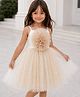 Foreverkidz Net Woven Sleeveless Floral Applique Detailed Dress - Golden