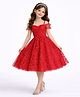 Tilism Net Woven Cold Shoulder Floral Embroidered Dress -Red