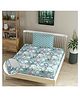 Morado Premium Glace Cotton Elastic Fitted Single Bedsheet 36x72x8 Inches with 1 Pillow Cover | Ultra Soft Breathable and Durable Fabric | All Around Elastic Fit | Blue Multi Flower AB Comb
