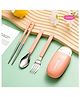 Puchku Travel Friendly Cuterlery Set with Box - Peach