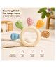 Puchku Baby Teething Toy Silicone Teether Ring with 6 Different Textures BPA-Free Food-Grade Soft Sensory Chewing Toy Infants Toddlers Relief Soothing Gums - Multicolor