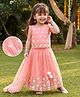 Babyhug Woven Sleeveless Embroidered Choli & Lehenga Set with Net Dupatta & Pom Pom Lace - Peach