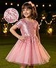 Hola Bonita Woven Half sleeves Sequin Detailing Dress - Pink