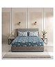 DDecor Premium Combed Cotton 145TC Double Bed Size Bedsheet with 2 Pillow Covers with Rotary Ethnic Floral Print -  Blue