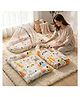 StarAndDaisy Baby Carry Nest Combo Set | Baby Mosquito Net, Bedding Set & Sleeping Bag Portable & Foldable Infant Bed Set for 012 Months Soft Mattress with Cushion.