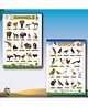 Early Learning Educational Wall Charts for Kids Preschool Nursery & Homeschool Learning Posters, Animals Chart and Birds Chart for Classroom & Home Ages 2 to 10-English